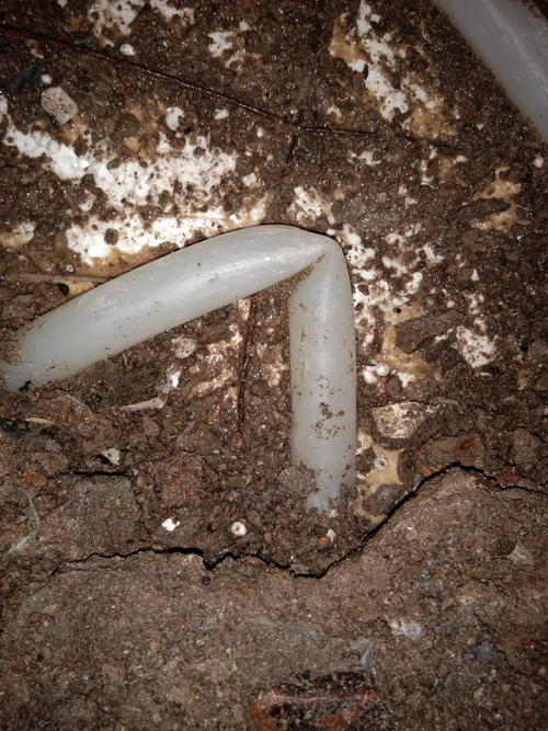 大宁堵点精准查找